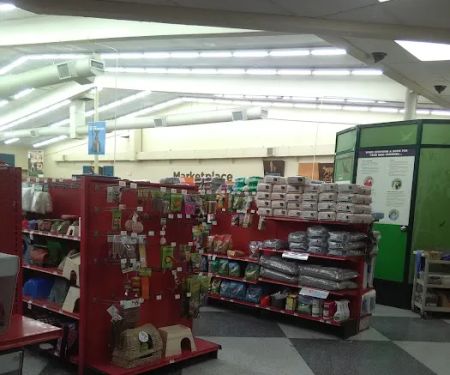 Petco