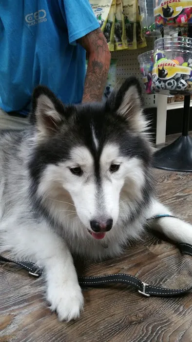 Healthy Pet Pantry Picture 2