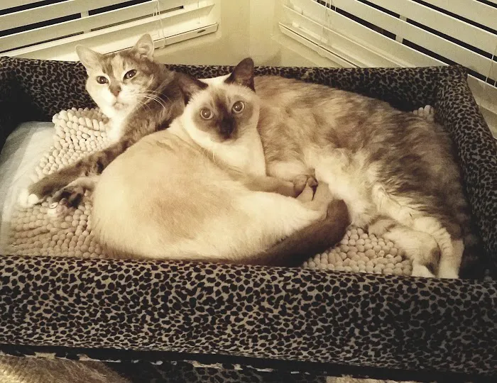 Healthy Pet Pantry Picture 6