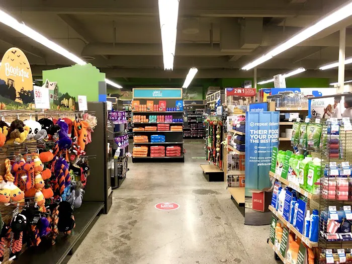 Petco Picture 6