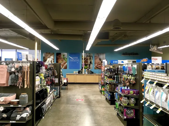Petco Picture 2