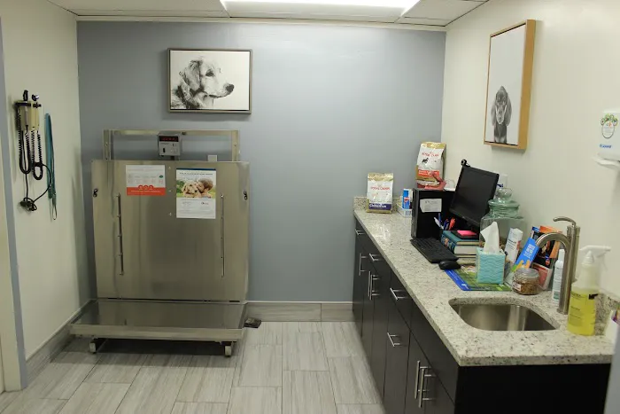 Riverdale Park Animal Hospital Picture 2