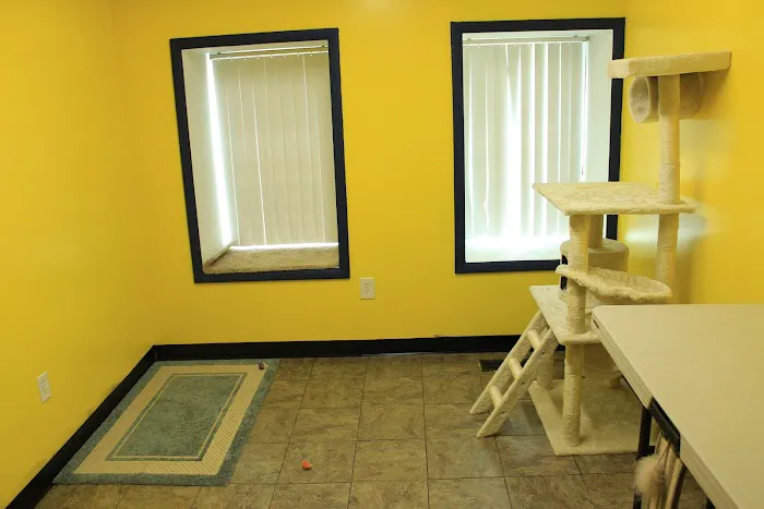 Riverdale Park Animal Hospital Picture 7