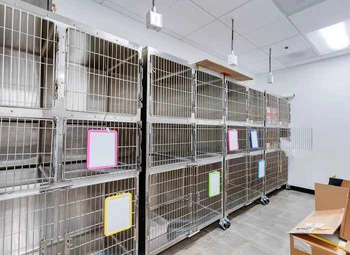 PetSmart Veterinary Services - Oxon Hill Picture 5