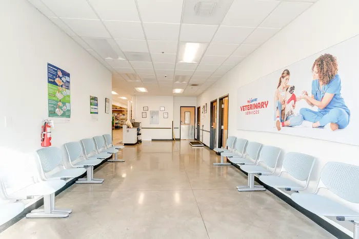 PetSmart Veterinary Services - Oxon Hill Picture 8