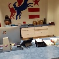 District Veterinary Hospital Eastern Market ico