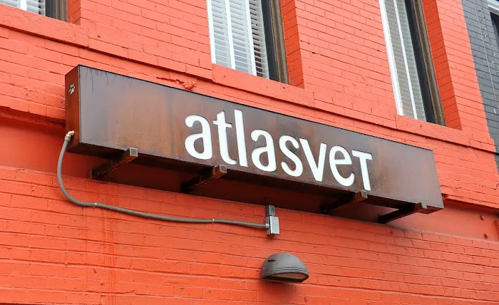 Atlasvet Picture 4