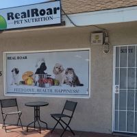 Real Roar LLC ico
