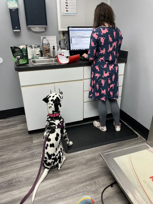 North Laurel Animal Hospital Picture 1