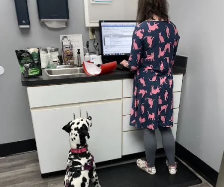 North Laurel Animal Hospital