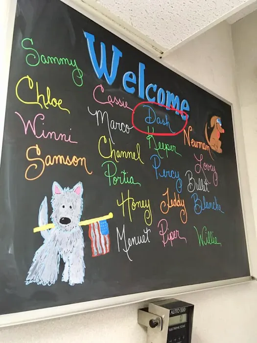 North Laurel Animal Hospital Picture 8