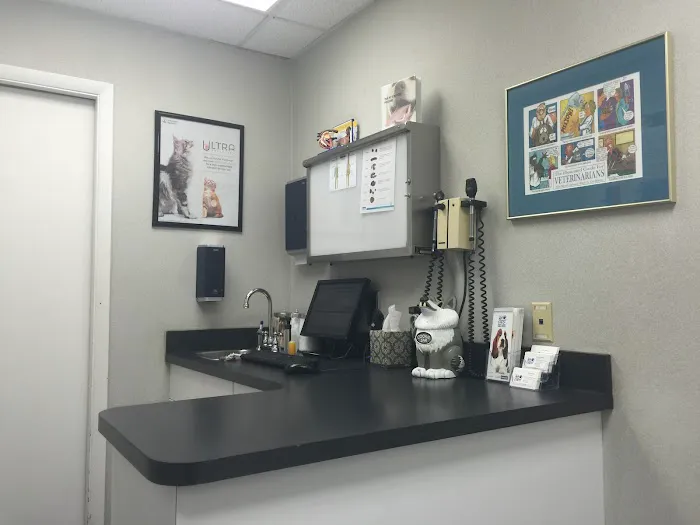 North Laurel Animal Hospital Picture 7