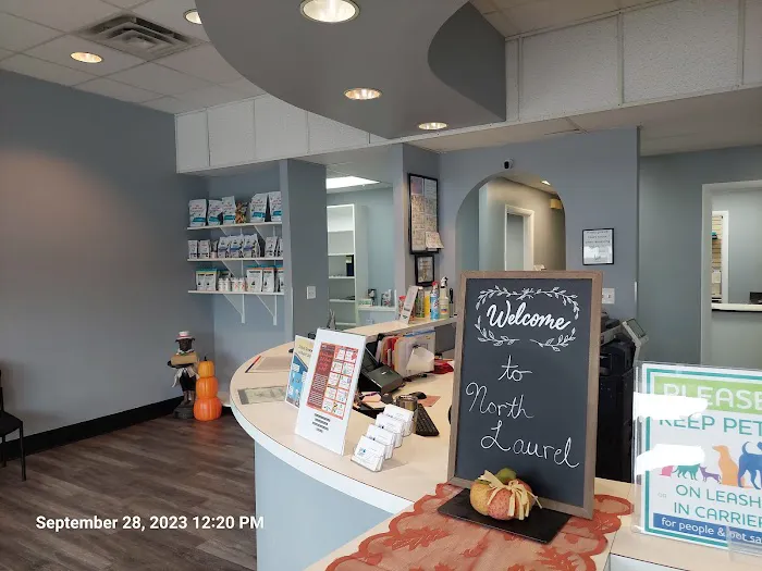 North Laurel Animal Hospital Picture 5