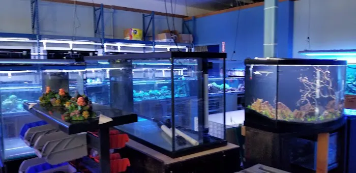 Shipwreck Cove Tropical Fish and Custom Aquariums Picture 4