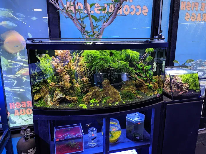 Shipwreck Cove Tropical Fish and Custom Aquariums Picture 10