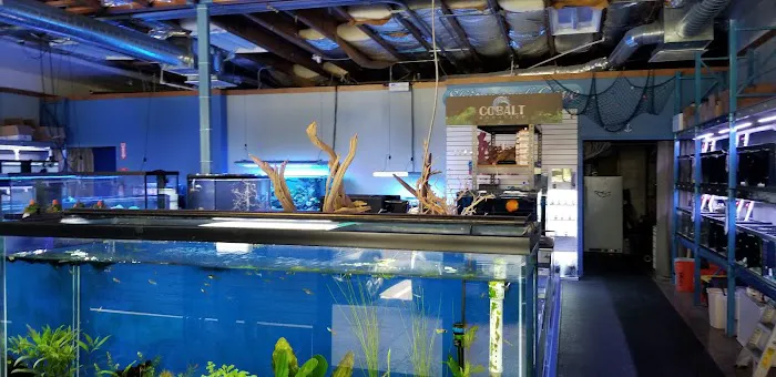 Shipwreck Cove Tropical Fish and Custom Aquariums Picture 7