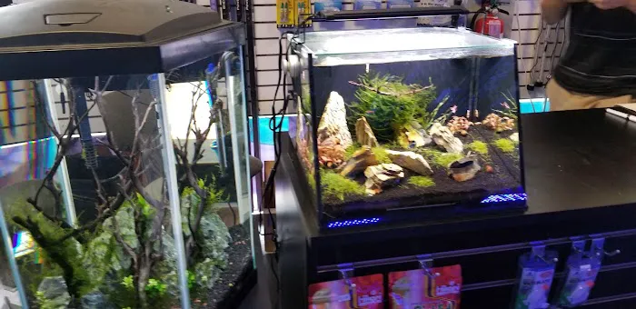 Shipwreck Cove Tropical Fish and Custom Aquariums Picture 6