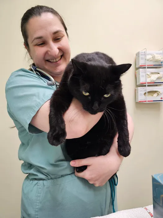 Whole Health Veterinary Care Picture 2