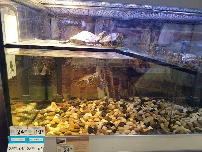 Petco Picture 4