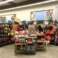 Petco ico
