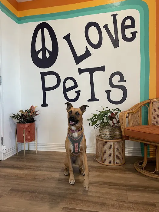 Pet Power Studio Picture 7