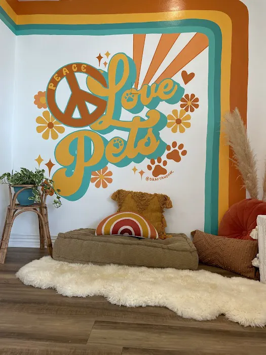 Pet Power Studio Picture 2