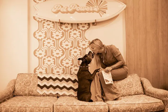 Pet Power Studio Picture 3