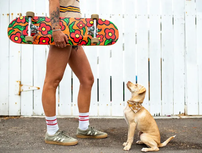Pet Power Studio Picture 6