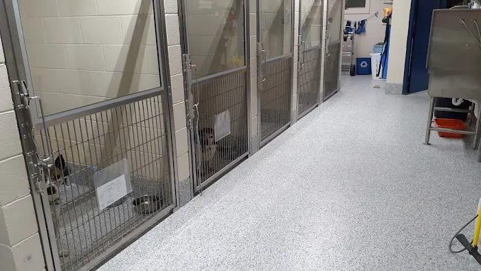Petco Picture 1