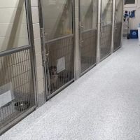 Petco ico