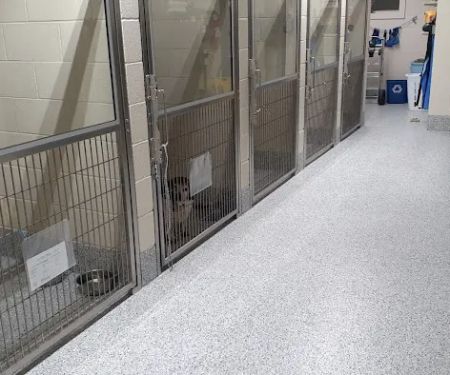 Petco