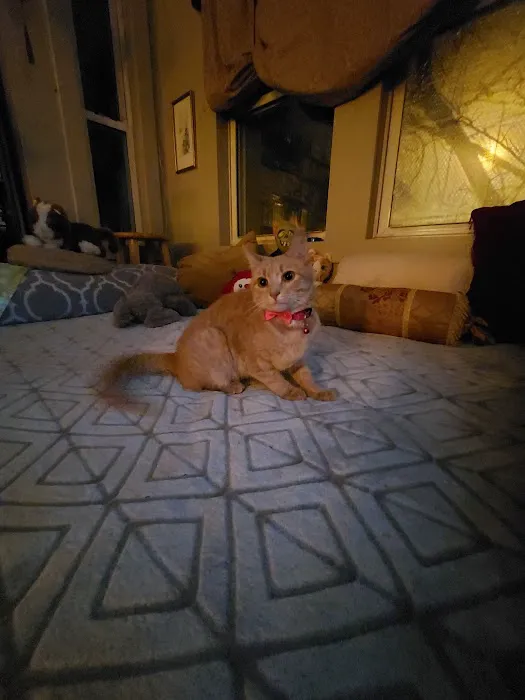 Petco Picture 2