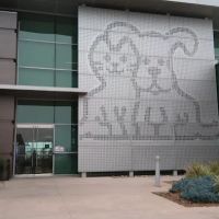 Petco Headquarters ico