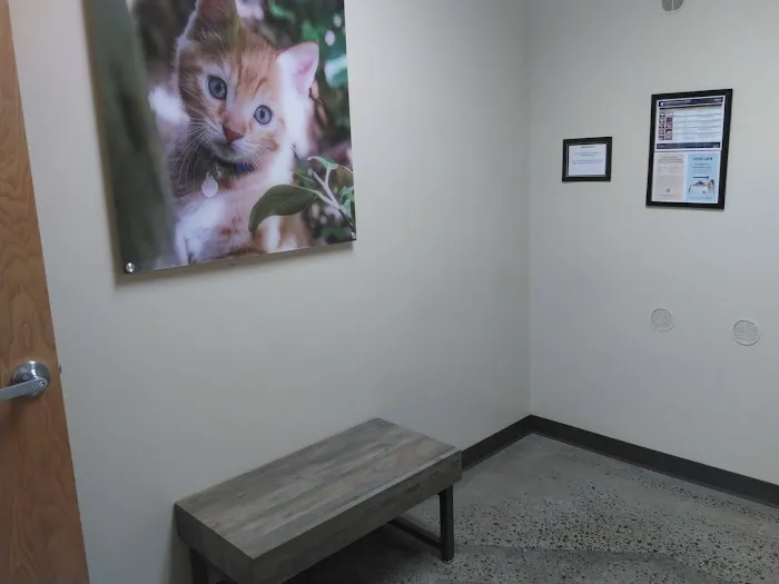 Vetco Total Care Animal Hospital Picture 3