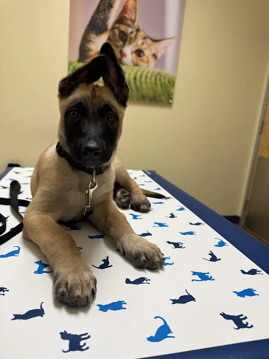 Vetco Total Care Animal Hospital Picture 5