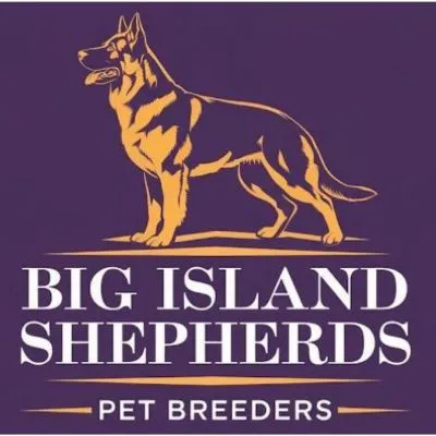 Big Island Shepherds Picture 4