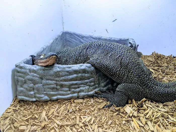 Pet Kingdom Picture 5