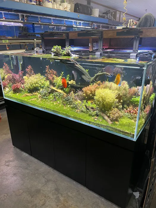 Pet Kingdom Picture 2