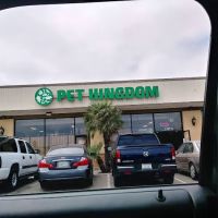 Pet Kingdom ico