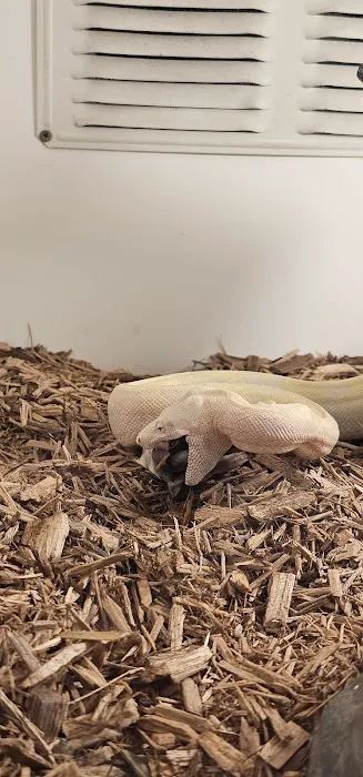 Pet Kingdom Picture 6