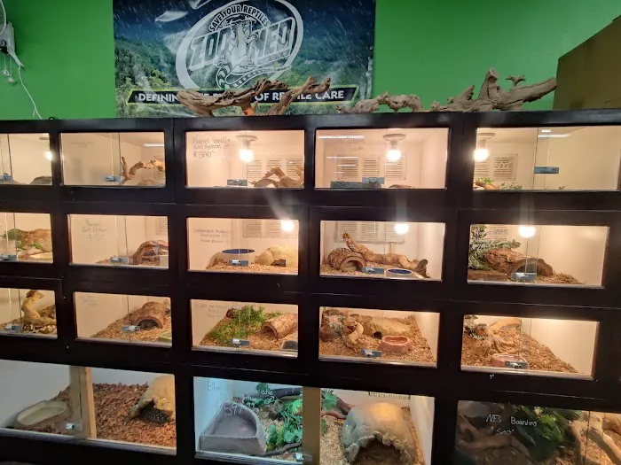 Pet Kingdom Picture 9