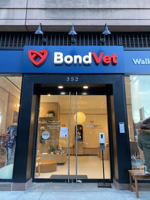 Bond Vet - Upper West Side at 77th Street Picture 6