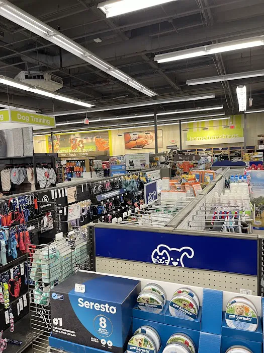 Petco Picture 6