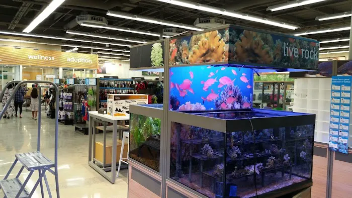 Petco Picture 2