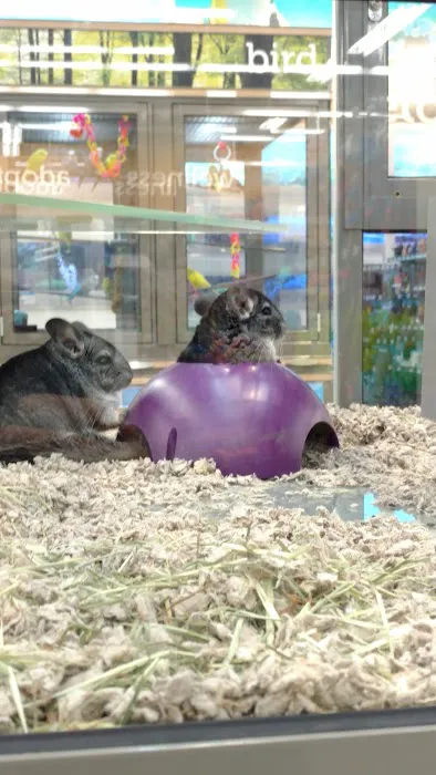 Petco Picture 1
