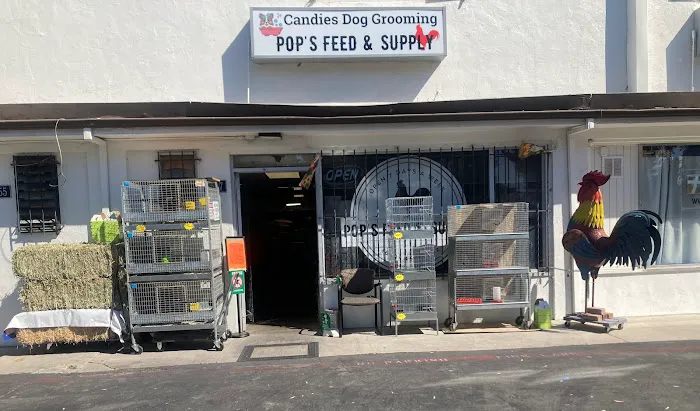 Pop's Feed and Supply Picture 1
