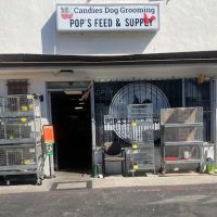 Pop's Feed and Supply ico
