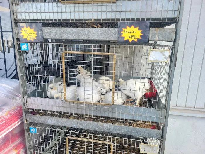 Pop's Feed and Supply Picture 9