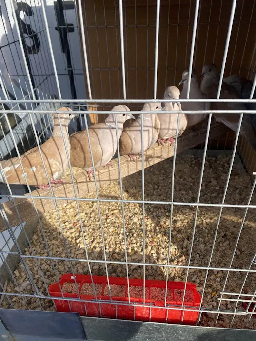 Pop's Feed and Supply Picture 8