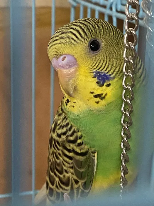 Pop's Feed and Supply Picture 7